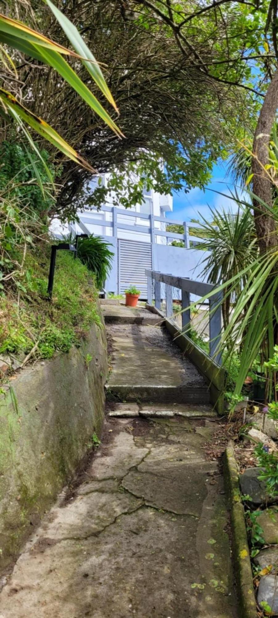 Tuilookout Apartman Wellington Kültér fotó